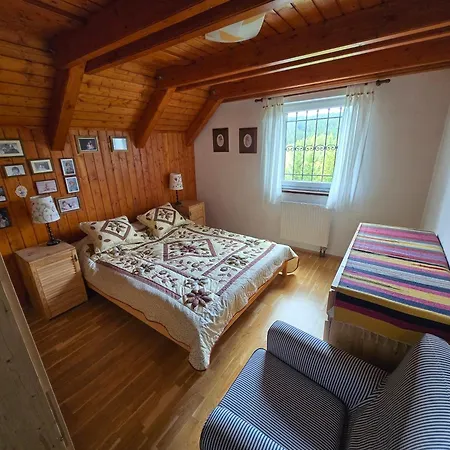 Zeleny Dum Сasa de vacaciones Jáchymov